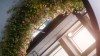 <em>My Neighbour Totoro</em> releases new trailer ahead of world premiere at the Barbican
