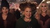 ”Hocus Pocus” stage  musical officially in development
