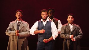 ”Mandela” musical at Young Vic – review