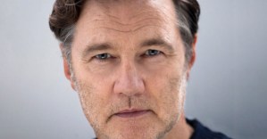 David Morrissey to star in Harold Pinter double bill
