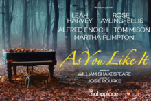 As You Like It 49086