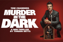 Murder in the Dark 49498 3
