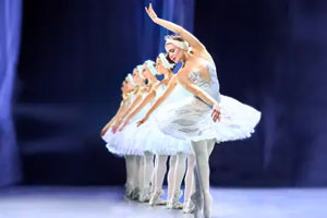 Swan lake