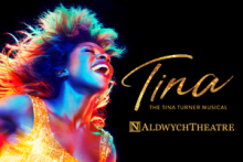 Tina The Tina Turner Musical 49371