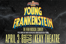 Young Frankenstein 49490 1