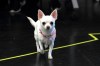First look at <em>Legally Blonde</em>
