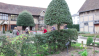 Four things you didn't know about Shakespeare's Birthplace