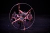 Edinburgh review: <em>No Show</em> (Summerhall)