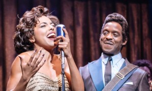 Review: Tina the Musical (Aldwych Theatre)