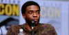 Arts world pays tribute to actor Chadwick Boseman