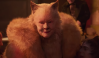 First <em>Cats</em> film trailer released with Jennifer Hudson, Taylor Swift, Ian McKellen, Idris Elba, Judi Dench and more