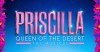 <em>Priscilla, Queen of the Desert</em> to open on tour this summer with hopes for West End return