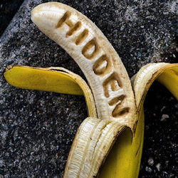 Hidden (Harrogate)