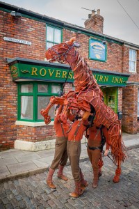 Where's Joey? 9 places everyone's favourite horse has been spotted