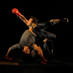 Boxe Boxe (Tour – The Lyric, Plymouth)