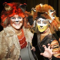 Cats (Stage Experience – Liverpool)