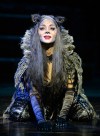New <em>Cats</em> production images released
