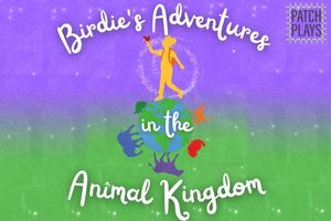 birdies adventure listing