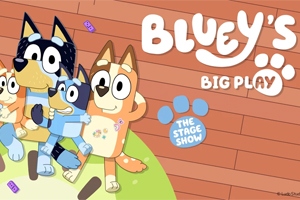 bluey300x200