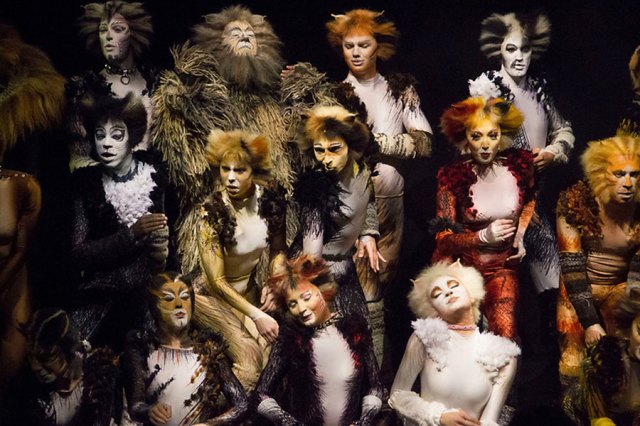 catsa A variety of people dressed as cats