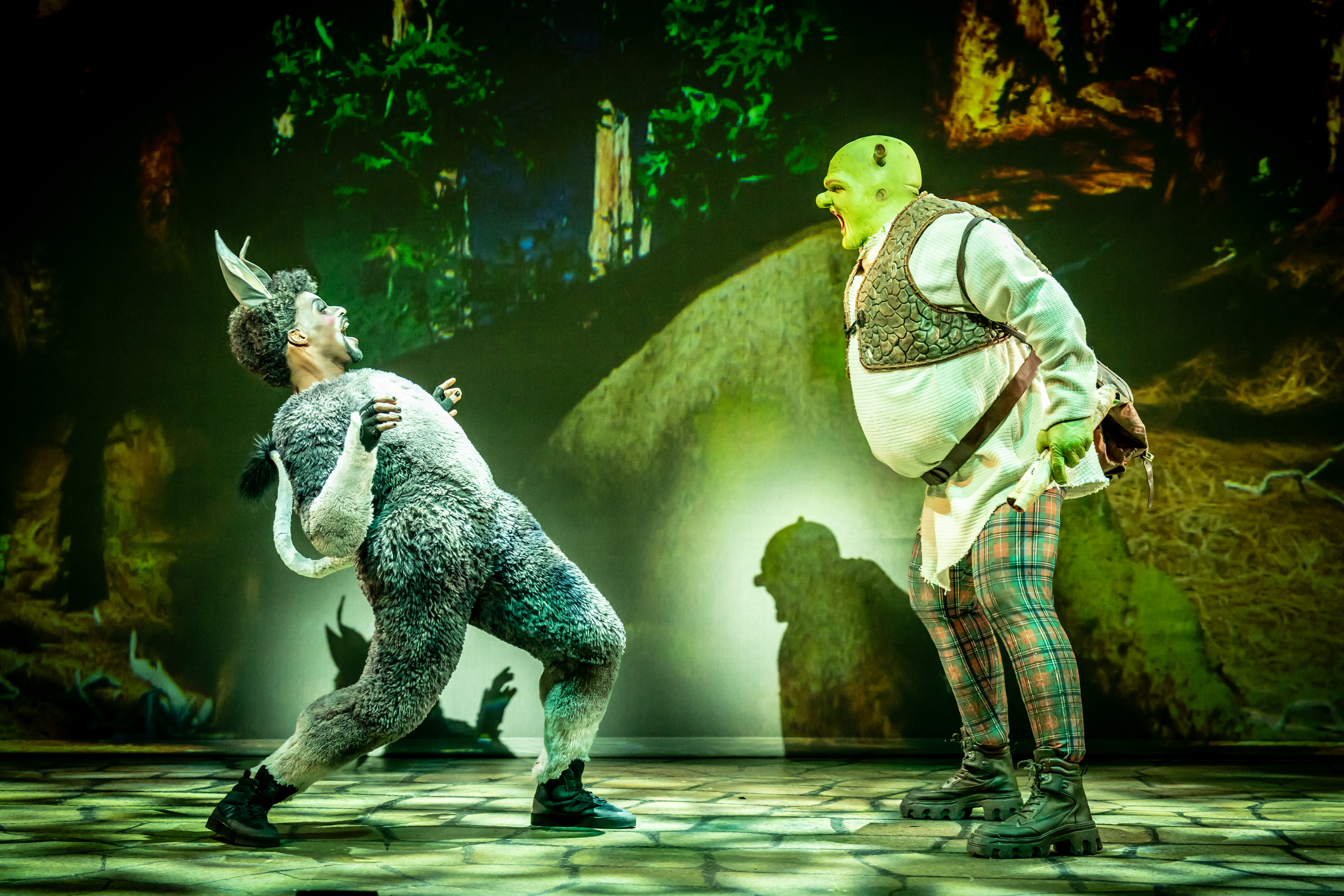 Brandon Lee Sears (as Donkey) and Antony Lawrence (as Shrek) in Shrek The Musical