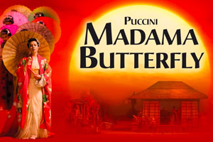 madama butterfly