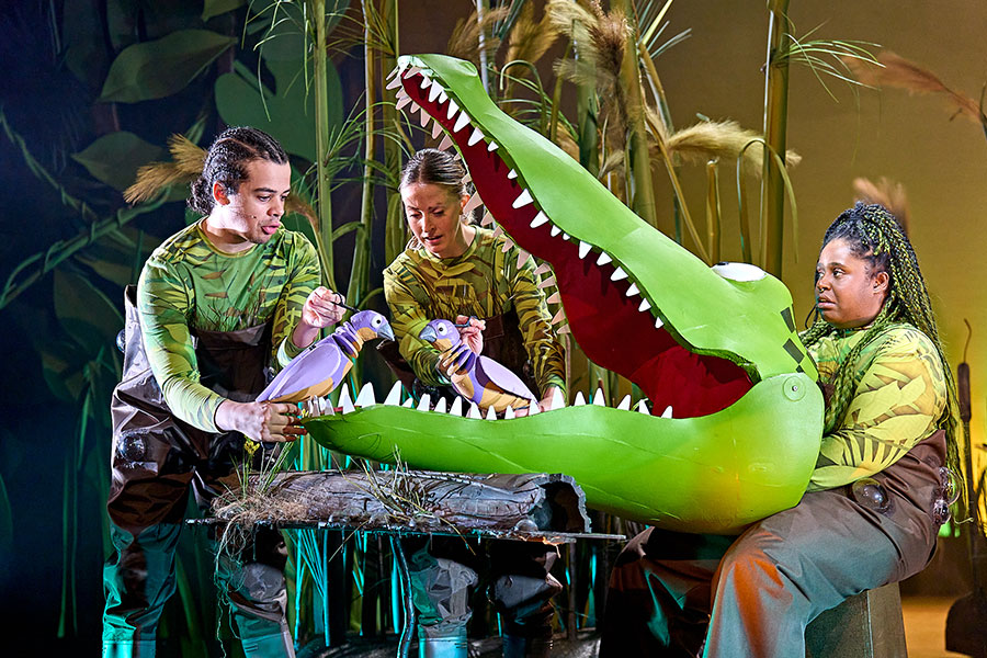 The clearance enormous crocodile