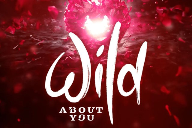 Wild About You artwork