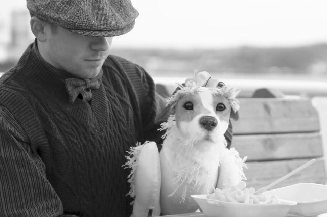Uggie - a puppet from The Artist