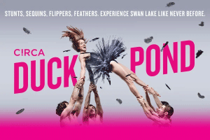 Duck Pond