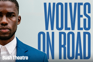 Wolves on Road