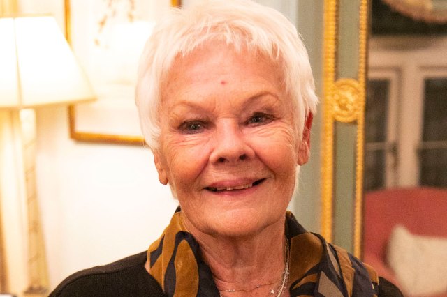 Judi Dench, © Dan Wooller