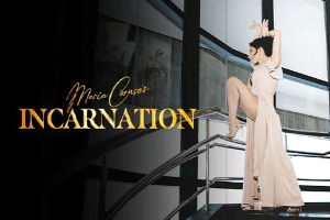 Incarnation
