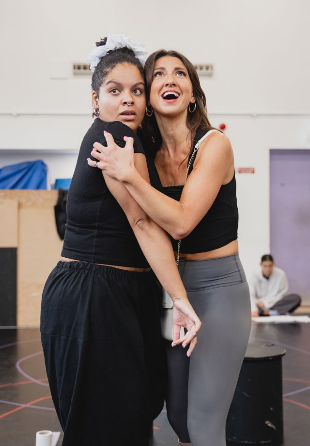 Renee Lamb and Zizi Strallen The Cast Of Cake Cake The Marie Antoinette Playlist Photo Credit Mark Senior 5933