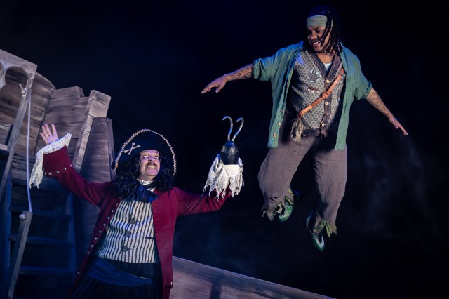 Captain Hook and Peter Pan