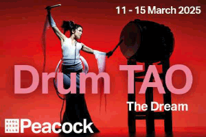 Drum TAO 300x200