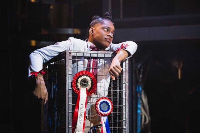 An actor on stage, slouching on a podium with rosettes