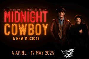 Midnight Cowboy 300x200