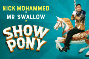 show pony 300x200