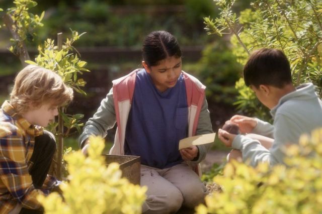 A still from the film