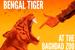 Bengal Tiger 300x200