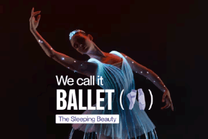 We call it Ballet: Sleeping Beauty Dance and Light Show