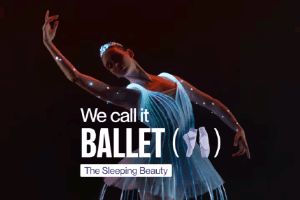 We call it Ballet: Sleeping Beauty Dance and Light Show