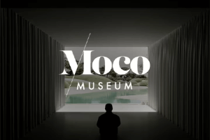 Moco Museum