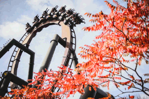 Thorpe Park Tickets