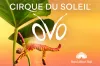 Cirque du Soleil: OVO