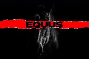 Equus
