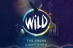 wild drone 300x200