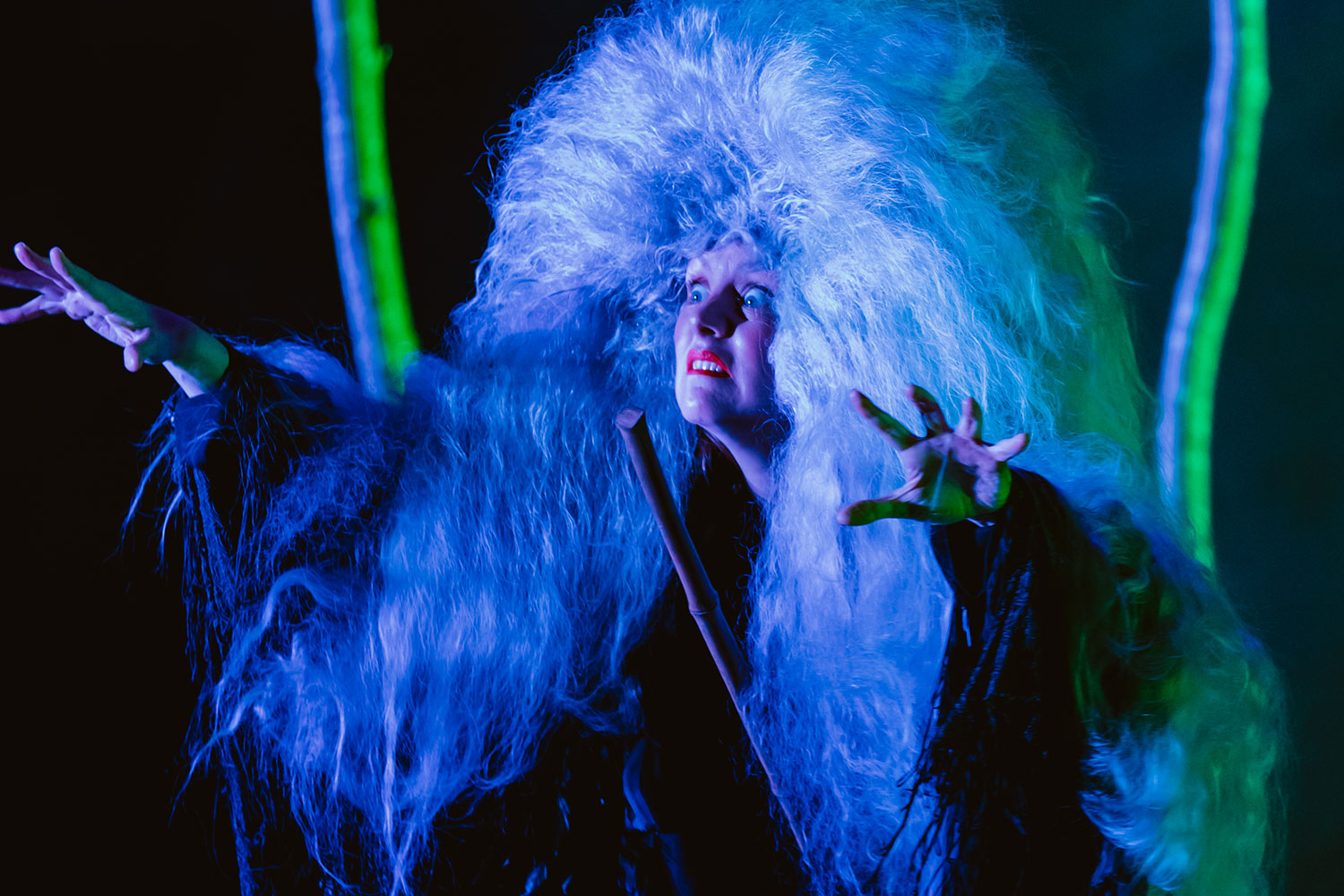 Bryony Kimmings in Bog Witch