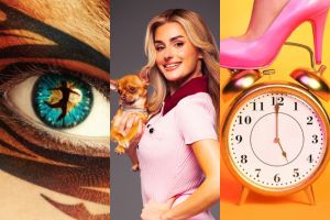 Cats artwork, Amber Davies as Elle Woods, 9 to 5 artwork